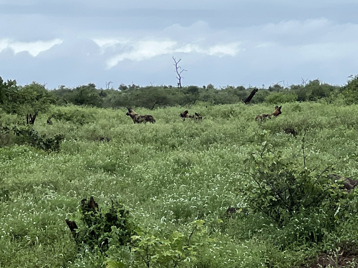 Nick Bell tweet media