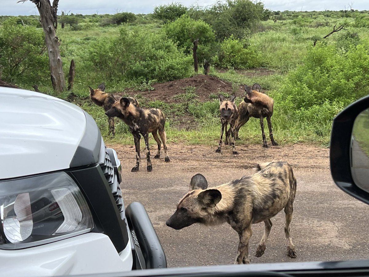 Nick Bell tweet media