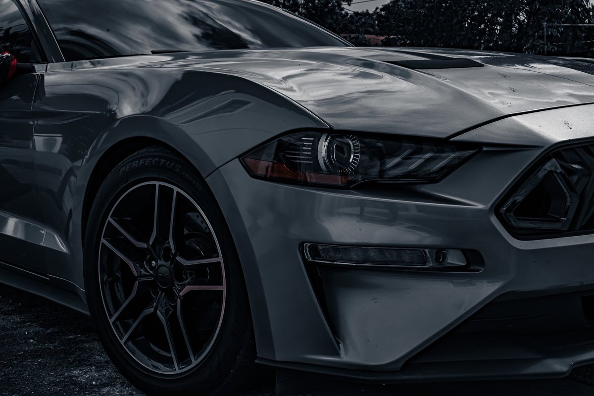 visualxjam's tweet photo. 📸 Mustanggg 🐎 https://t.co/tMT21B54GK