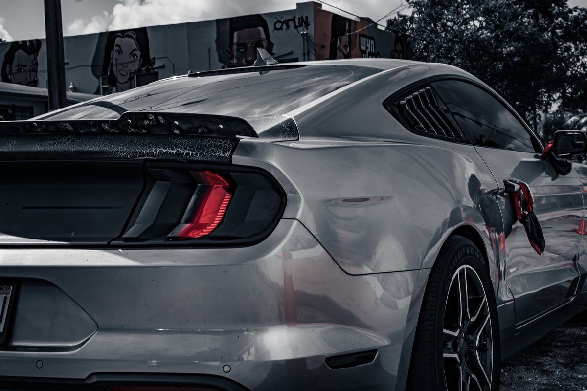visualxjam's tweet photo. 📸 Mustanggg 🐎 https://t.co/tMT21B54GK