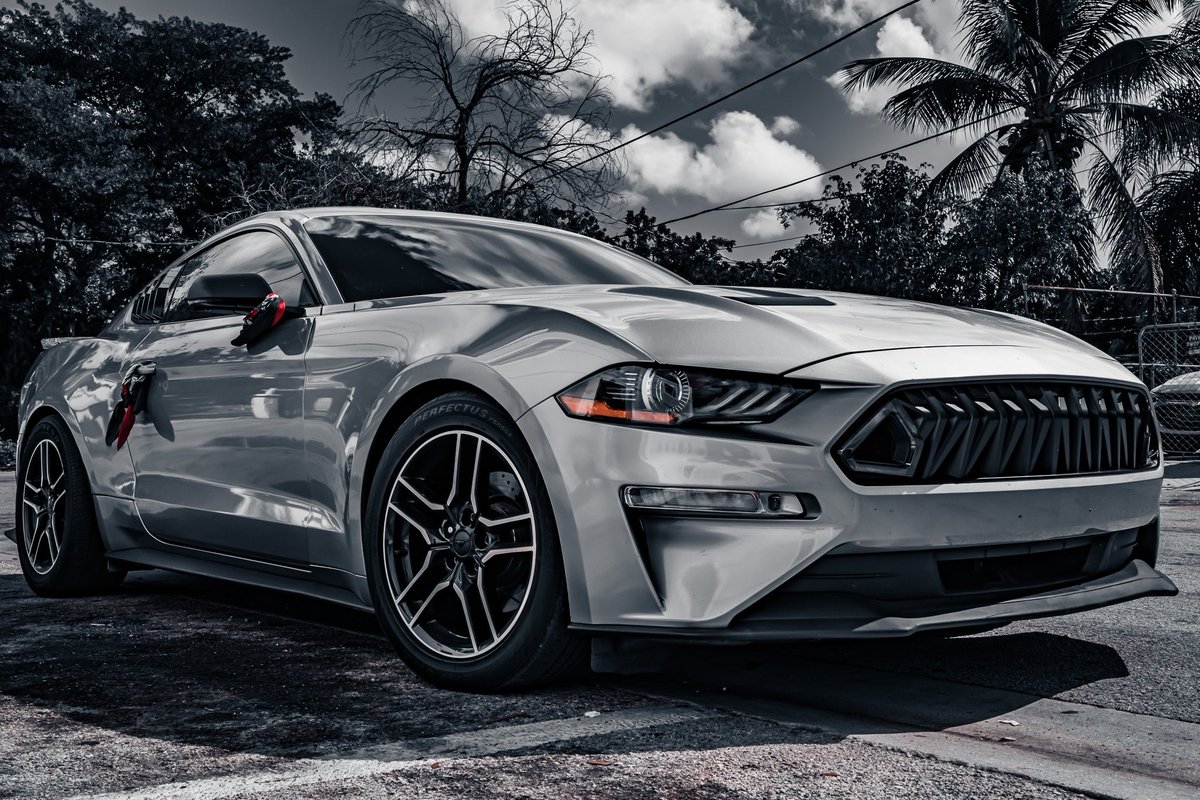 visualxjam's tweet photo. 📸 Mustanggg 🐎 https://t.co/tMT21B54GK