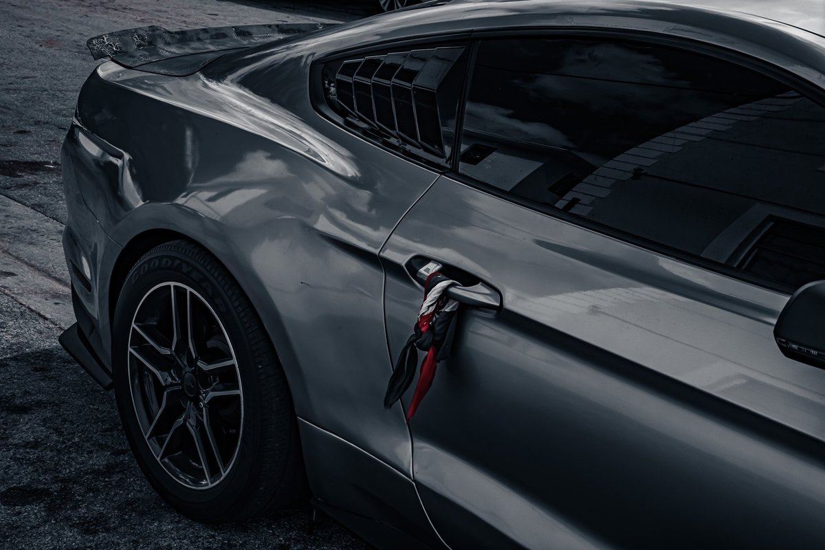 visualxjam's tweet photo. 📸 Mustanggg 🐎 https://t.co/tMT21B54GK
