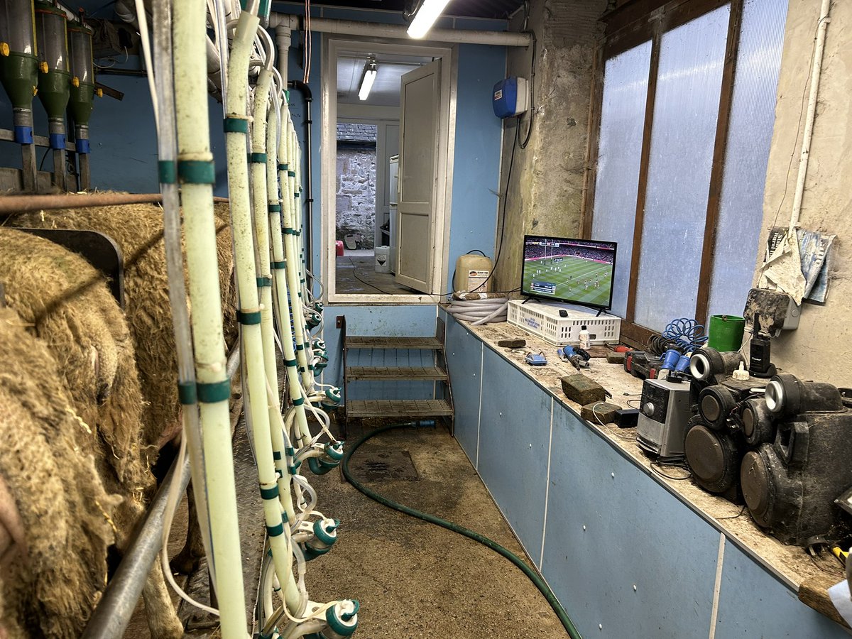 jameshadwin's tweet photo. Couldn’t watch it in the pub so watching #ENGvWAL in the parlour instead 👌 enjoy your work 👍 #SixNations2023 got to keep the milk flowing for @DairyEwe products 💪 https://t.co/vXyNH7INU5