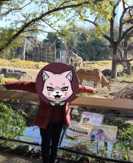 Saliha_7208's tweet photo. 動物園楽しかったです♪
ちょっと見れないところもあったけど、色んな動物を見れて息抜きできました✨

イベントありがとうございます✨

#TMAs 
#TheMafiaAnimals 
#動物園tomint https://t.co/ERIFTbeL3a