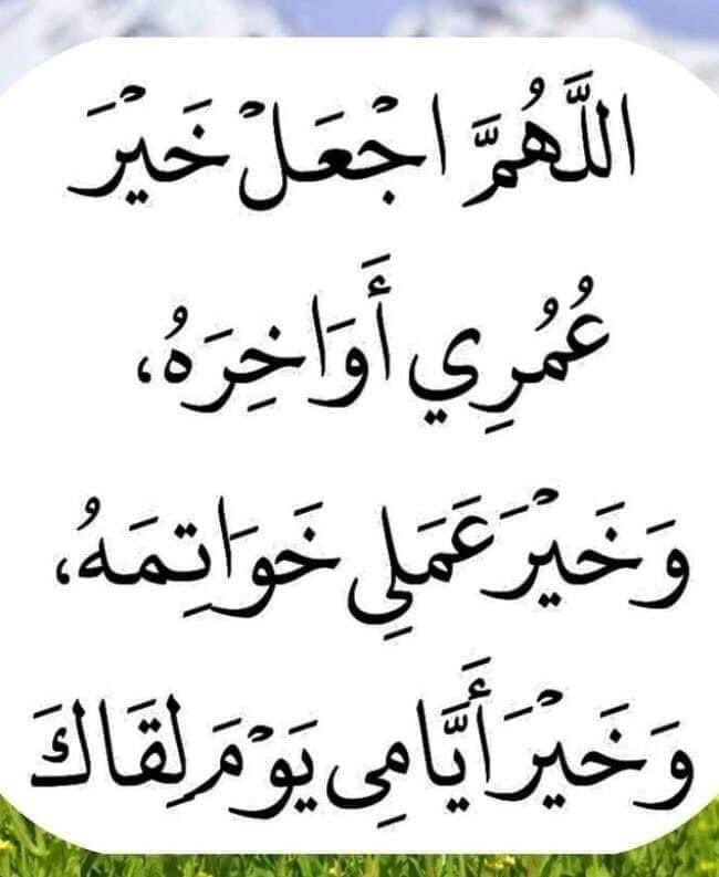 oilsil's tweet photo. اللهم قرب لنا كل ما تراه خير لِنا و أبعد عنا ما تراه شر لنا اللهم اختر لنا ولا تُخيرنا ف إننا لا نحسن الاختيار.
اللهم هوّن عن القلوبِ هموماً لا يعلم ثِقلها إلا أنت
#صباح_الخير https://t.co/ABWUadMqGO