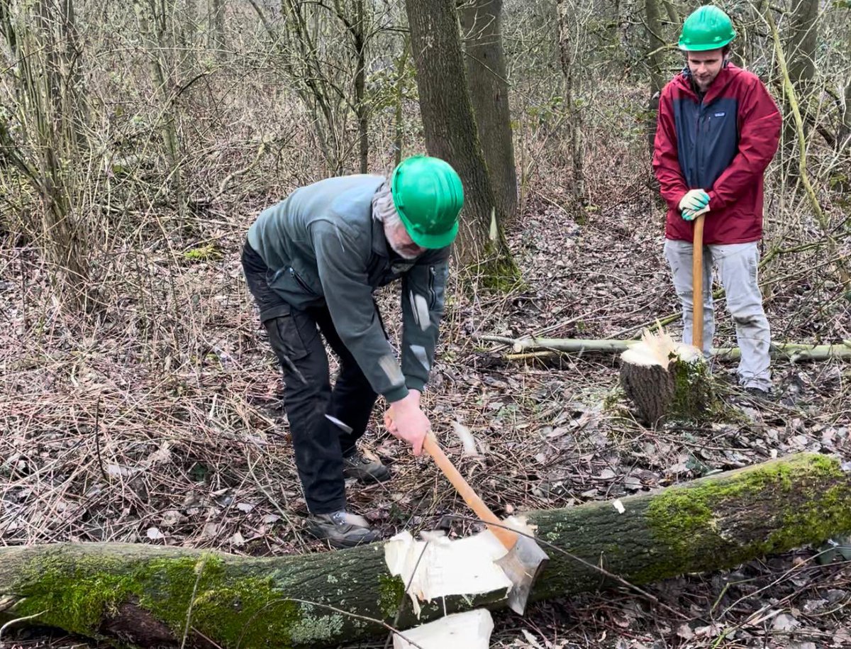 CLarosch's tweet photo. #teamdag #landschapsbeheer @Limb_Landschap omgaan met #silky zagen en slaggereedschap. Vaardigheden aanleren & overbrengen. #hiep #rodax #trekzaag #werpbijl #ochsenkopf Flink erop los gehakt #handkracht 💪🏻 en leerzaam @JanKluskens https://t.co/eF1aV4NYl6