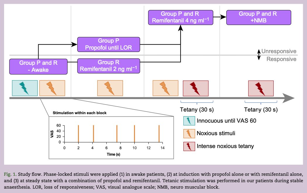 BJAJournals's tweet image. New from #BJAOpen

EEG responses to standardised noxious stimulation during clinical anaesthesia: a pilot study by Anders et al.

#pilot #pEEG #EEG #depthofanaesthesia #anaesthesia #anesthesia #perioperative

bjaopen.org/article/S2772-…