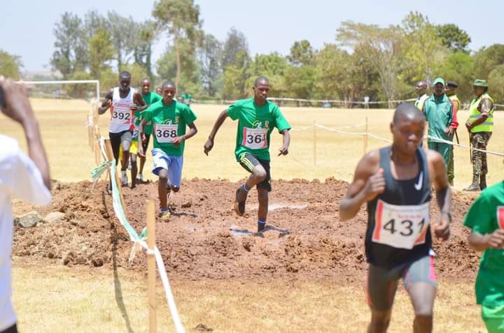FaithChela5's tweet photo. Participated in the #RunForMau event yesterday !It was amazing to see so many people come together to support the planting and conservation of trees in the Mau Forest. Let's continue to work towards a greener and more sustainable future for our planet.@McfChs @ruforumsec https://t.co/pDkQ8Lh5Z3