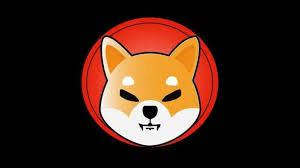 重生之邪修交易Ash by Ashdata tweet media