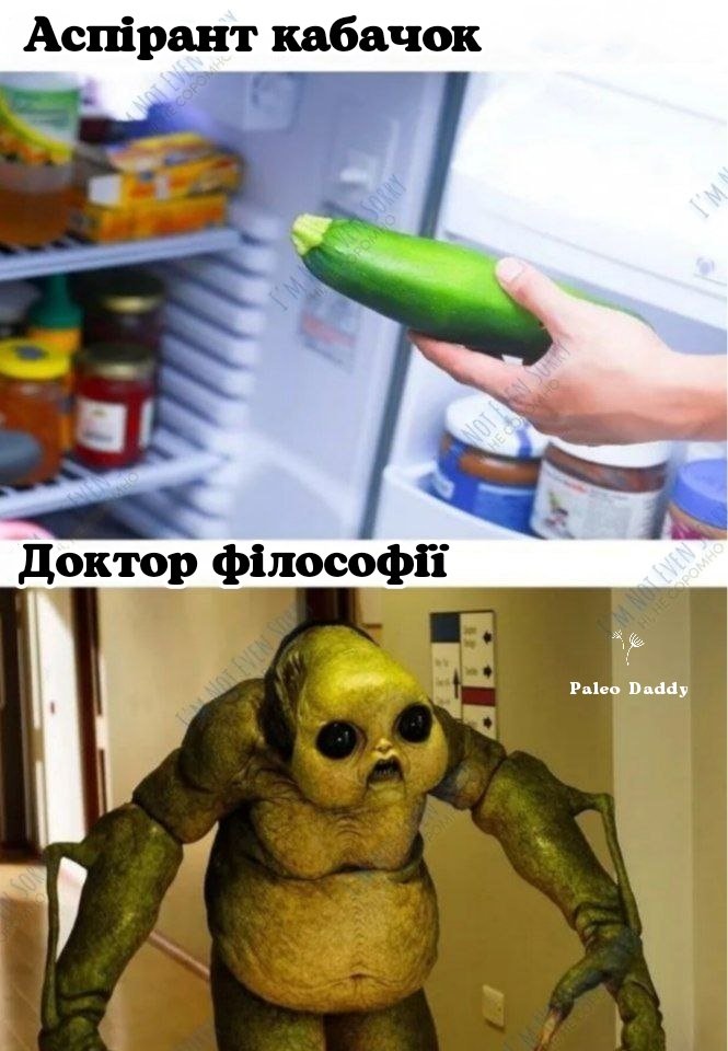 Paleo_Daddy's tweet photo. Це звісно тема @botanikafake , але я таки вставив свої 5 євро центів 🤷😉 https://t.co/ZwDWT1e0RT