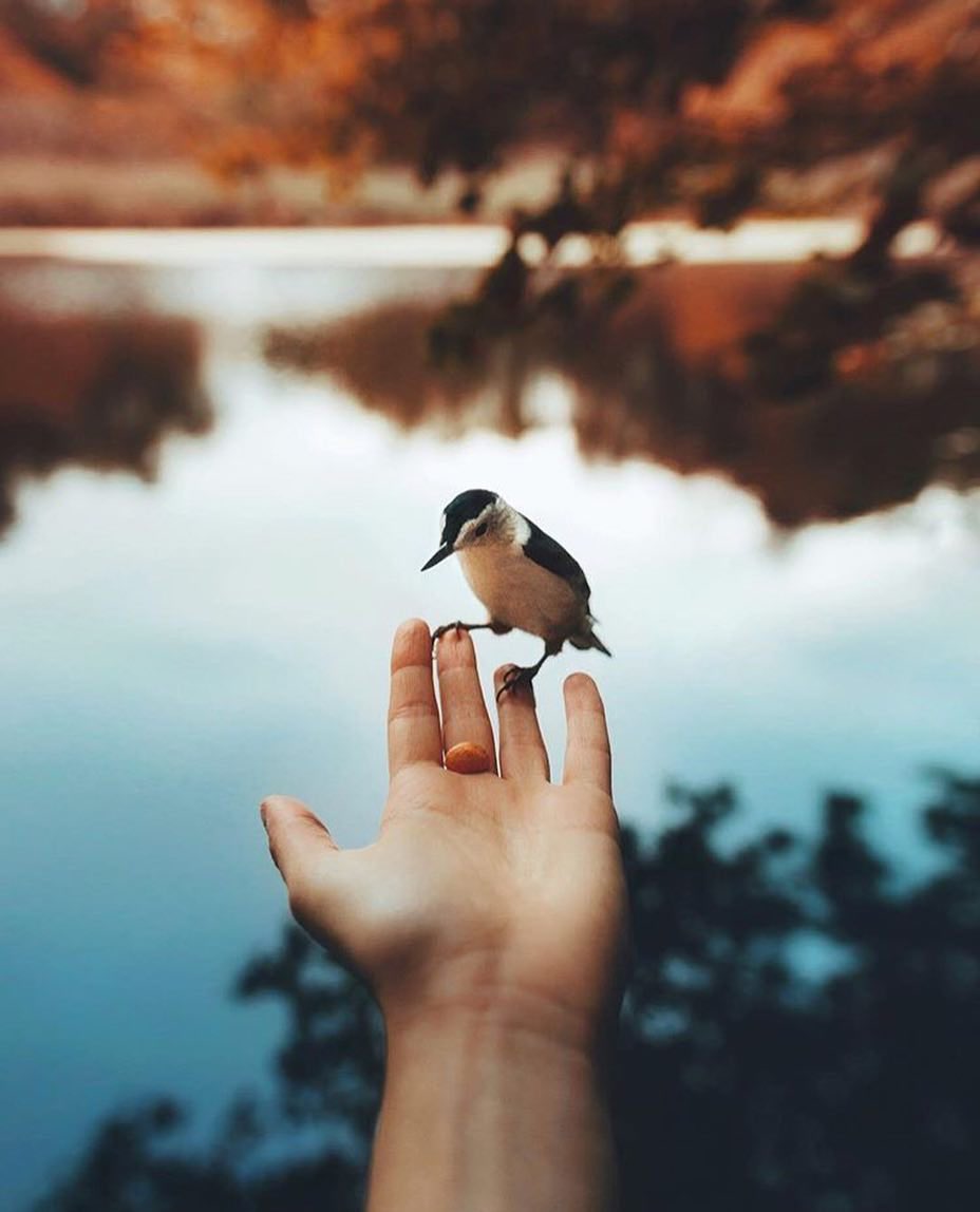 culturainquieta's tweet photo. «Hacer lo útil, decir lo justo y contemplar lo bello; es bastante para una vida».

T. S. Eliot

Una fotografía de la naturalista canadiense Valérie Derome-Massé. https://t.co/yLArx9RZfc