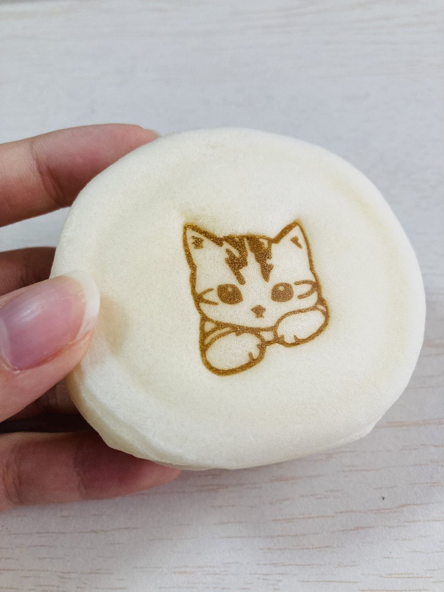 ayanok0118's tweet photo. かわいいねこさま https://t.co/RQNHoHD89M
