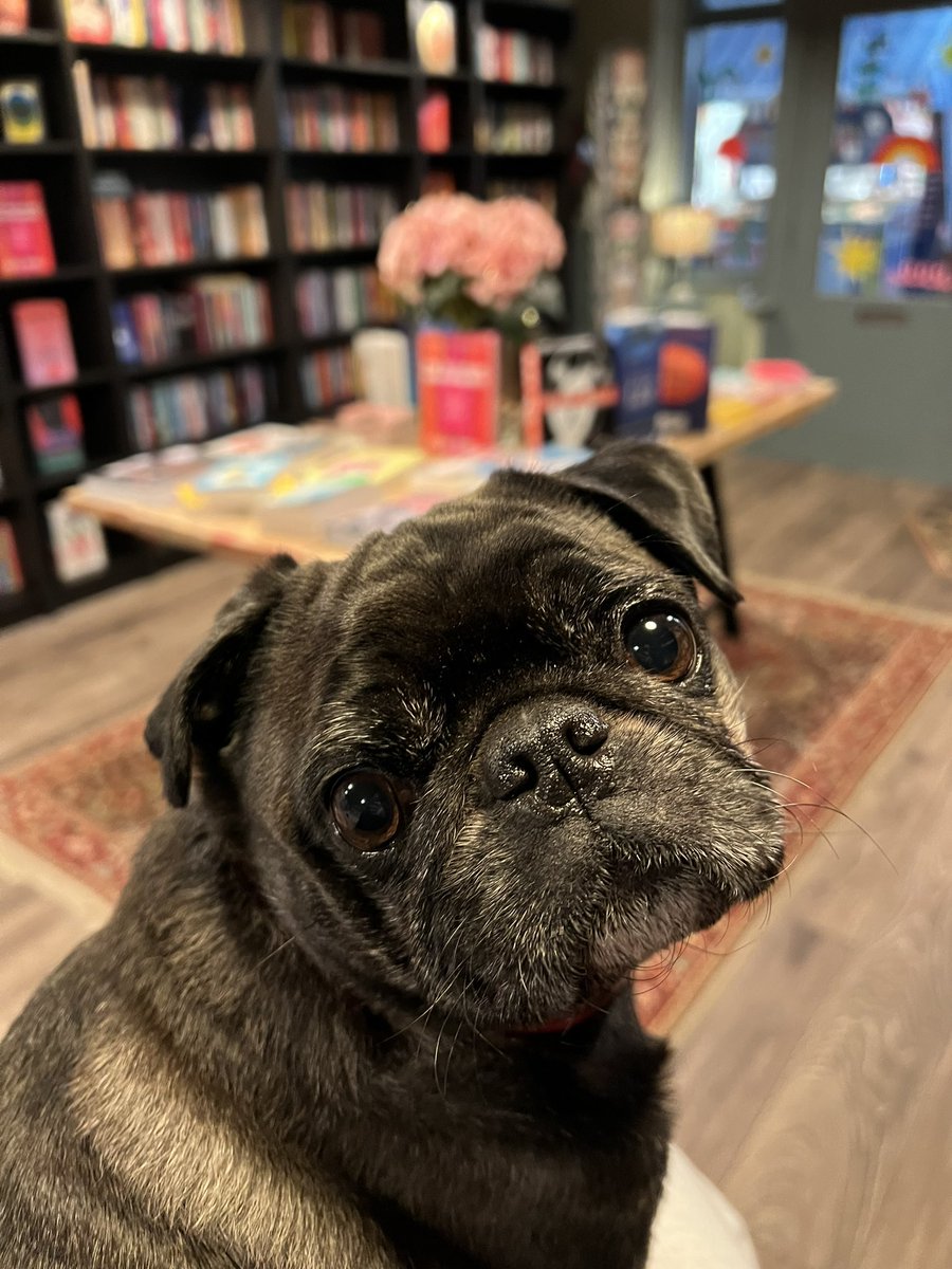 Sapphire Bates tweet media