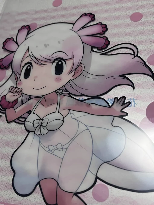 もらった! 