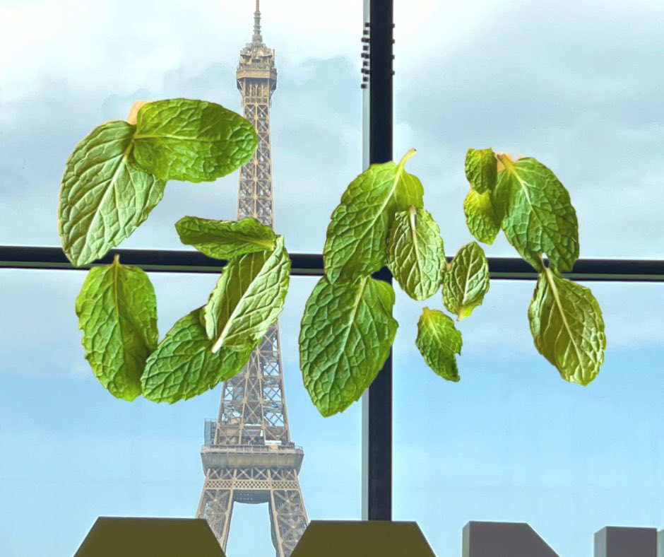 warrenhimself 🎟💚 tweet media