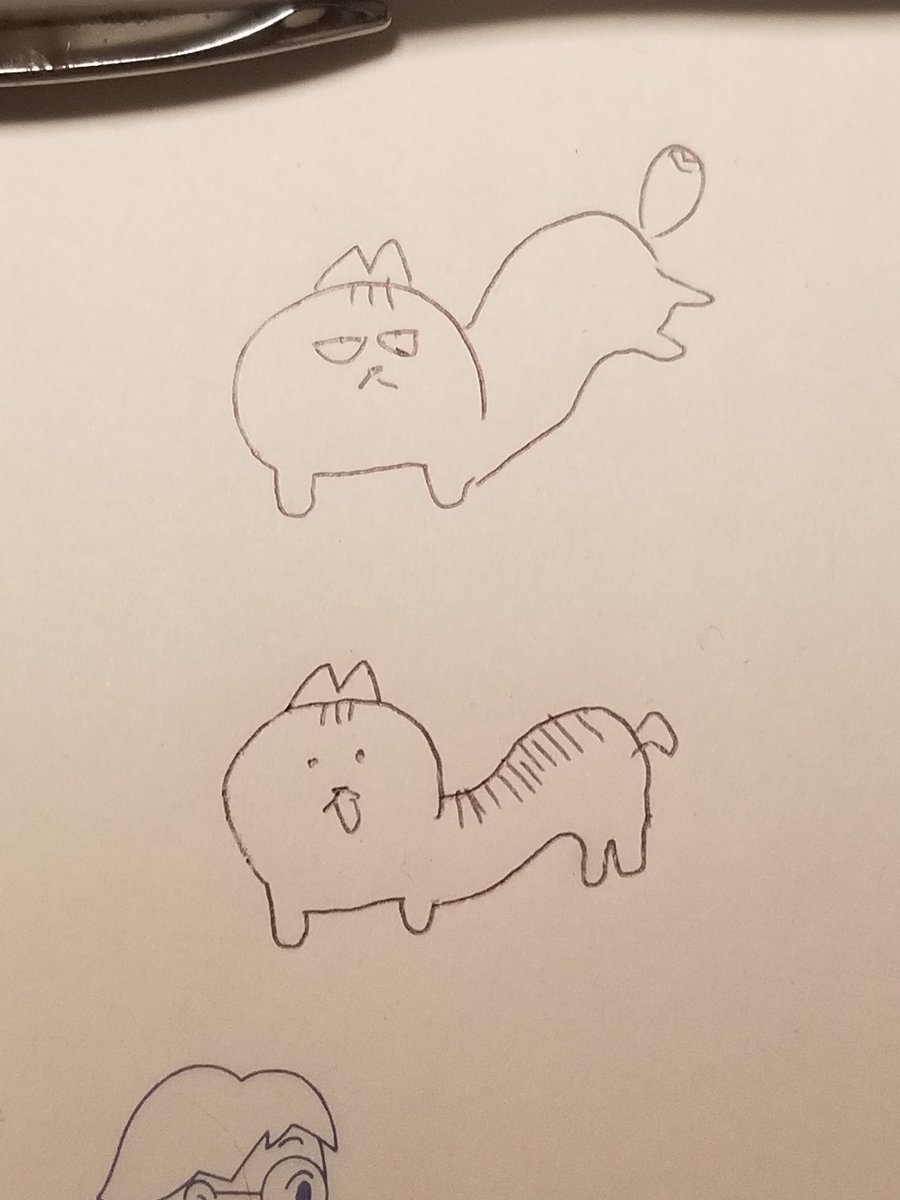 うちの身体の柔らかい猫達図 