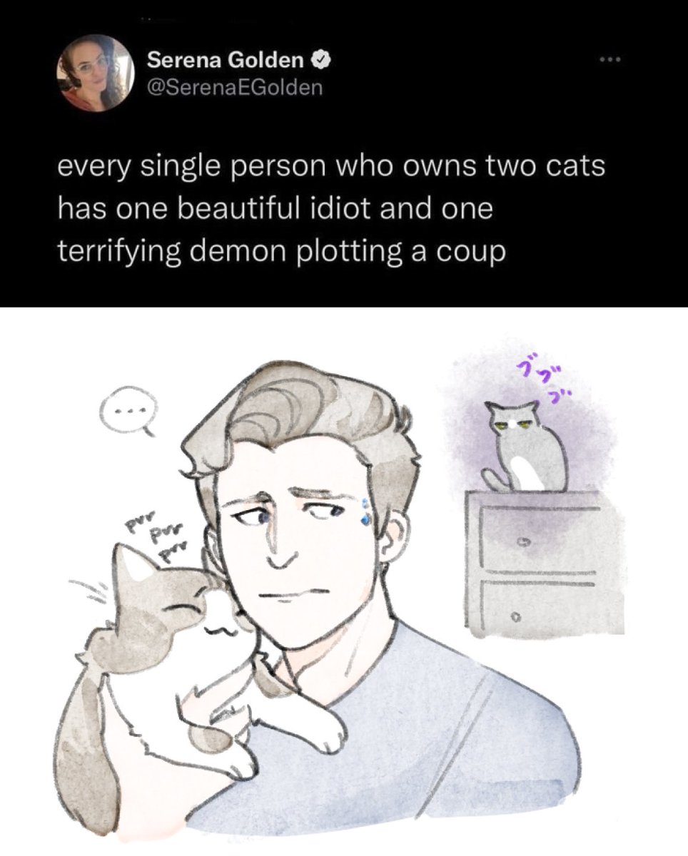 Angela Ziegler on Twitter ""This is Arya. She's...gonna kill me in my sleep one night, I just