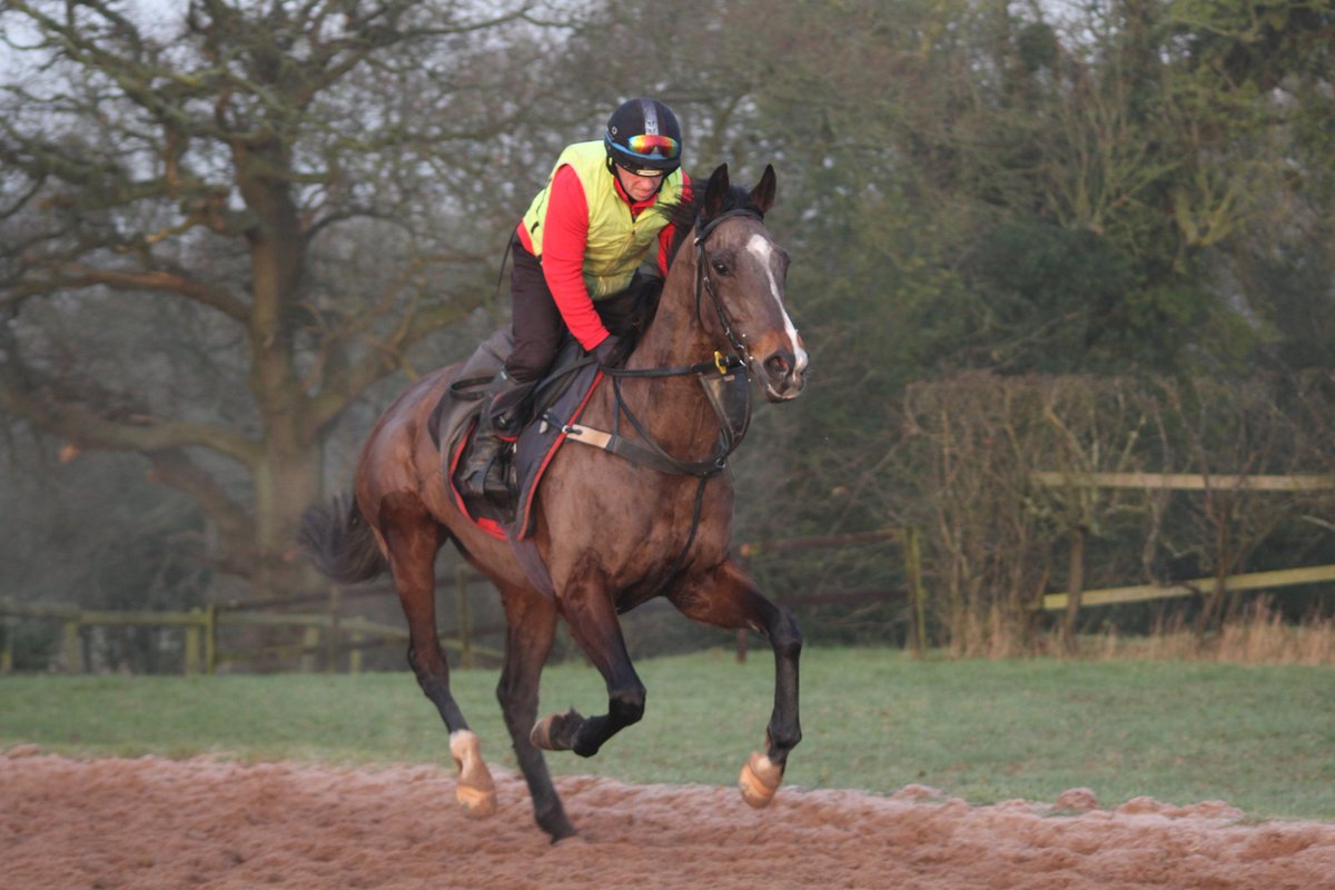 Ian Williams Racing (@ianwilliamsraci) on Twitter photo There are no runners today from the yard, but best wishes to our amateur rider Josh Agar this afternoon <a href="/GarthorpeRaces/">Garthorpe Races</a> as he rides former Dominion Racing Stables runner Richmond Hill at the <a href="/CottesmoreHunt/">The Cottesmore Hunt</a> point-to-point 🏇 There are no runners today from the yard, but best wishes to our amateur rider Josh Agar this afternoon <a href="/GarthorpeRaces/">Garthorpe Races</a> as he rides former Dominion Racing Stables runner Richmond Hill at the <a href="/CottesmoreHunt/">The Cottesmore Hunt</a> point-to-point 🏇