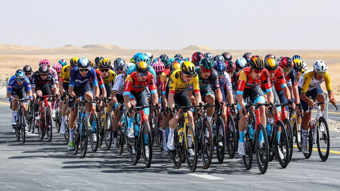 MarieMarilou_'s tweet image. #UAETour : #Evenepoel va-t-il conserver son maillot de leader au sommet de #JabelHafeet ? (direct commenté 9h45)
rtbf.be/article/uae-to…