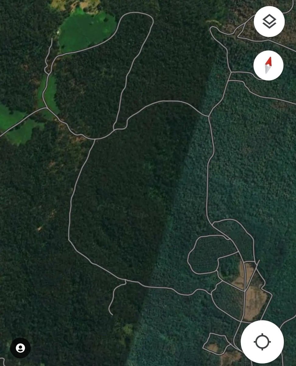 animaljusticeAU's tweet image. &quot;Moonpar nationally significant #koala refuge.
Image 1 Pre-Christmas
Image 2 recent days. Extinctions visible from space thanks to @VisitNSWForests @LiberalNSW.&quot;
(pink &amp;amp; red in image 2, forest entirely removed. Soil visible from space)
-Bellingen Nature
#stopnativeforestlogging