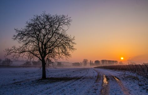 Herzliche Wintermorgen-Grüße, ihr Lieben,😘
aus unserem sonnigen Städtchen im Münsterland!🏘️
Euch allen von Herzen einen erholsamen Sonntag🍀
ohne Stress und ohne Sorgen,☺️
mit wunderbaren Momenten u Begegnungen!🤗
Schön, dass es euch gibt! 🧡