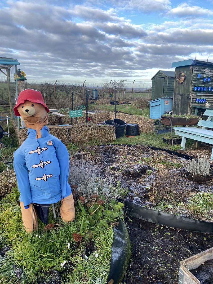 It’s a very cold and frosty on the allotment today #Epping #growyourownfood