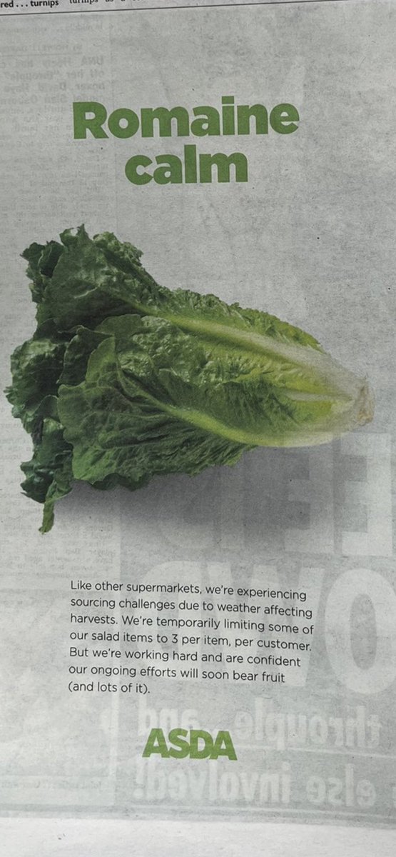 Great copy. Puns are the lifeblood of the nation. When they go, we are all truly done for.