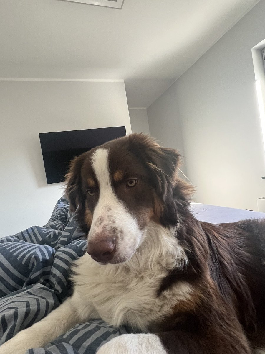 PranoR6's tweet image. *Wake up and let’s go outside bitch*