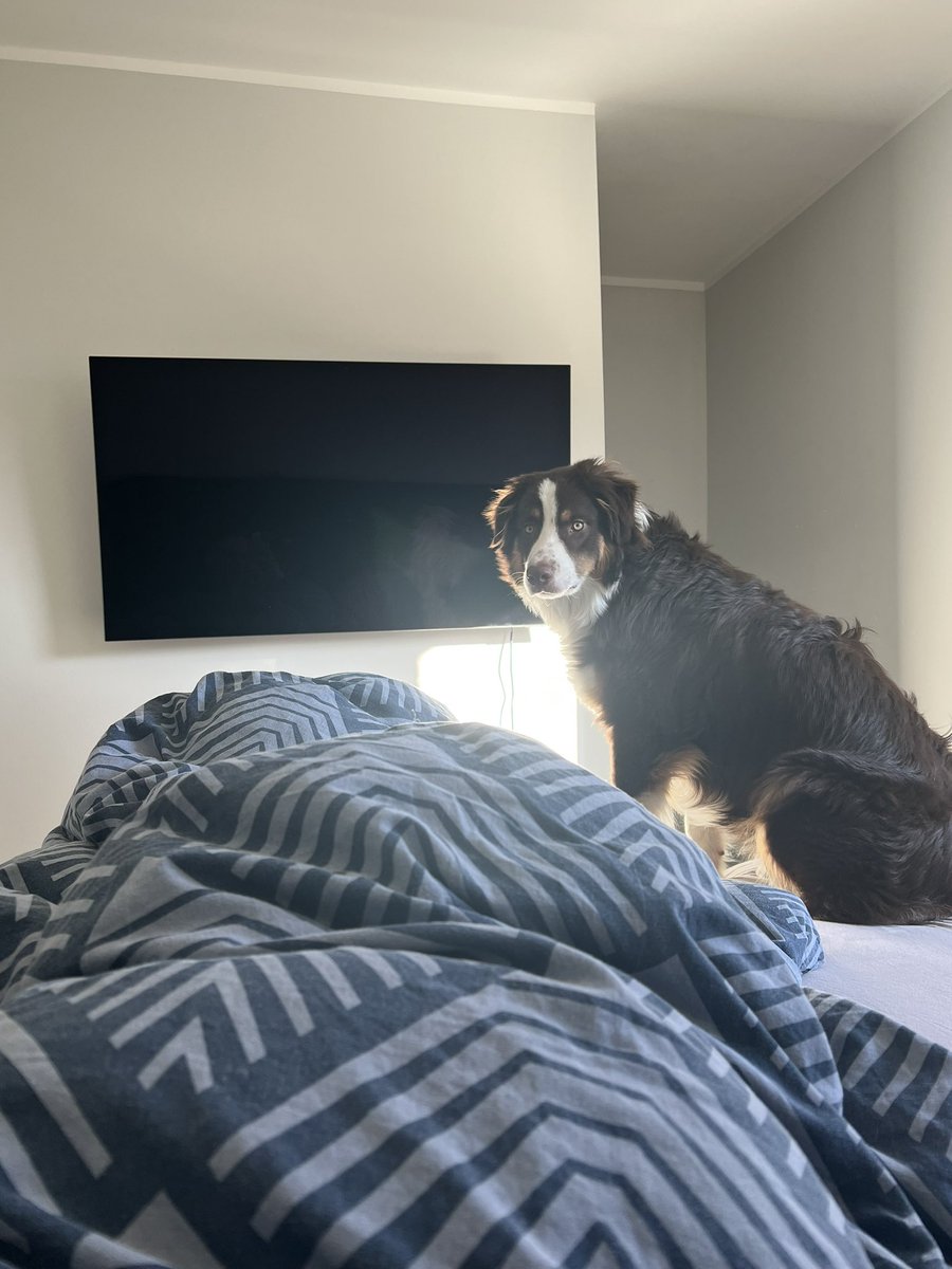 *Wake up and let’s go outside bitch*