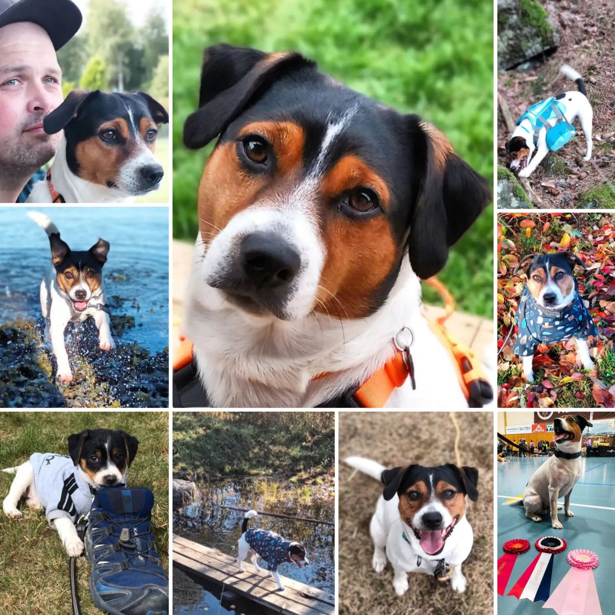 Maren Østbø tweet media