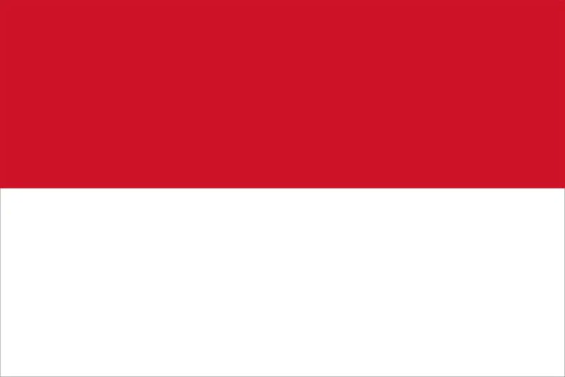 Indonesia National Armed Forces tweet media