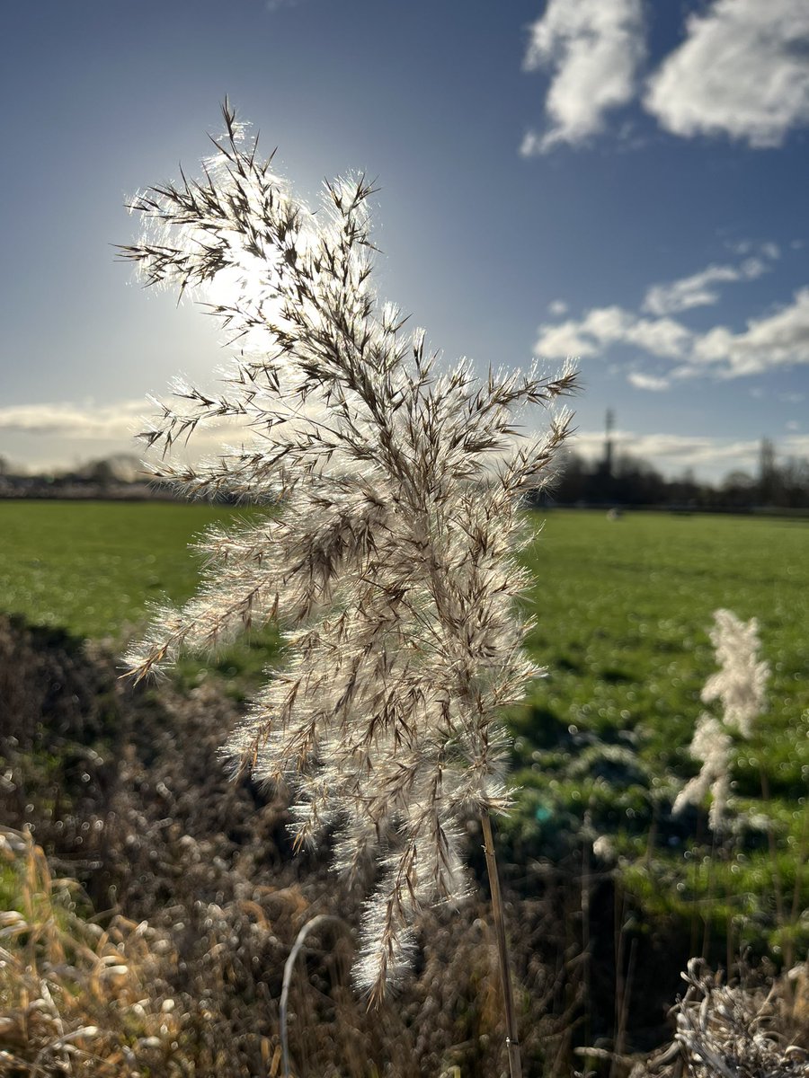 Goeiemorgen vanaf de #Suikerzijde