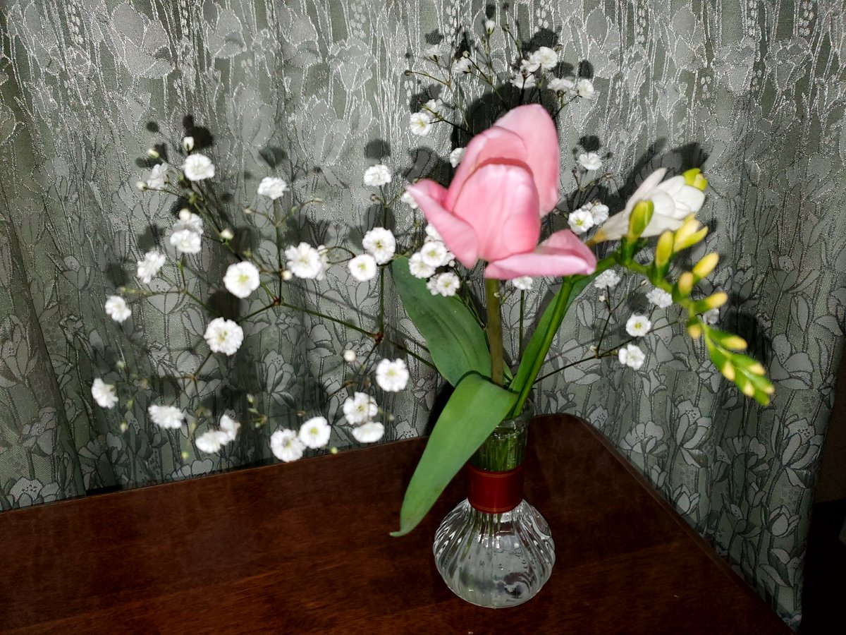 X9RYWg9rg1P3HdN's tweet photo. 直也くんのお花🌷
開いちゃってたからチューリップっぽくないね(笑)　
白いのは初めて見た👀‼️

直也くんのメッセージカードにもあるように、春らしくってかわいい🎵

16a8a1
#UNFG
#浦田直也
#ハナメク
#unofficial https://t.co/MlsohD5bg4