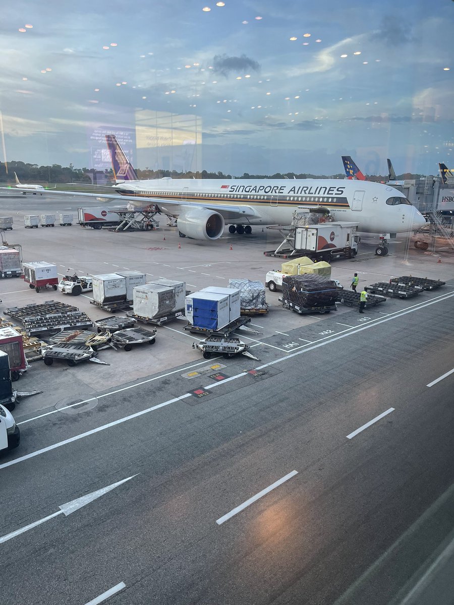 aadil's tweet photo. Heading back to Namma Bengaluru on this gorgeous โ๏ธ @SingaporeAir @Airbus A350 SQ 510 after a fab week in Singapore ๐ธ๐ฌ
@hackerrankโs Tech & Talent Leaders Mixer โ
@saastrโs #saastrAPAC โ
Marathon of Meetings โ
Chicken Rice โ
Dosa in Singapore โ
Din Tai Fung โ
Bubble Tea โ
https://t.co/nEznh4zUH4