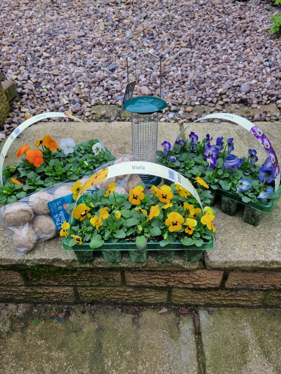 Dave Walker tweet media