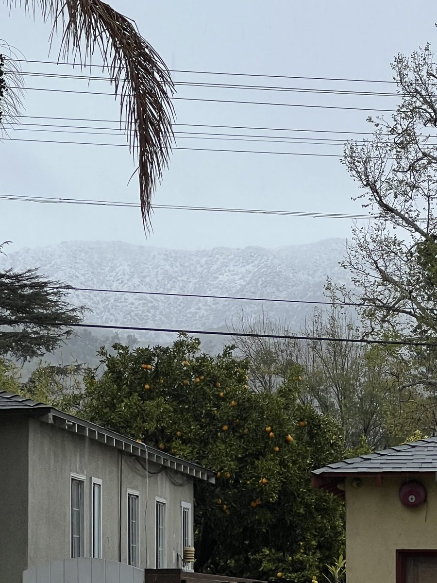 sammyblaze311's tweet photo. #BurbankSnow https://t.co/XeXG5O5TpI