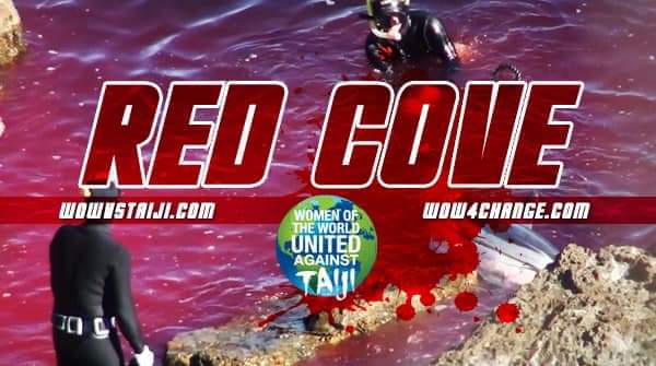 TAIJI JAPAN 💔RED COVE💔
13 Melon Headed Whales have been killed today. 3 babies included. Our thanks to Kunito Seko for witnessing daily. 
Please join us in speaking against these atrocities against peaceful Whales.
#WOWvTaiji #DolphinProject #SeaShepherd
