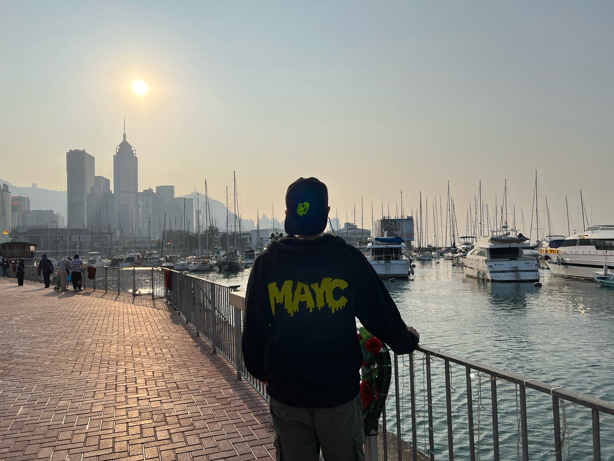 GM ☀️ Have an amazing Sunday! <a href="/BoredApeYC/">Bored Ape Yacht Club 🍌</a>