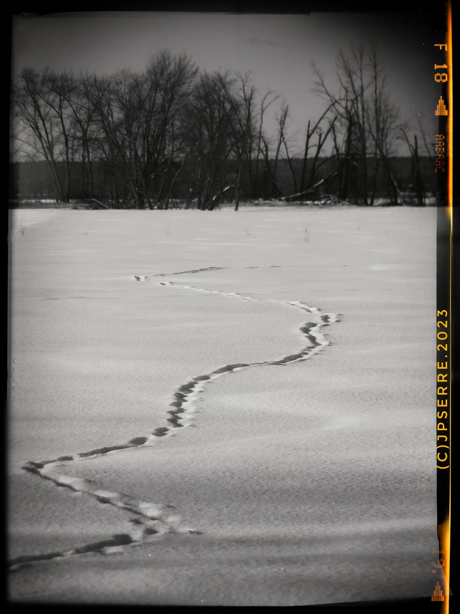 @DailyPicTheme2 Here and now. 
#snowtrail
#bnw 
#bnwphotography 
#bnwomonth 
#frozenriver