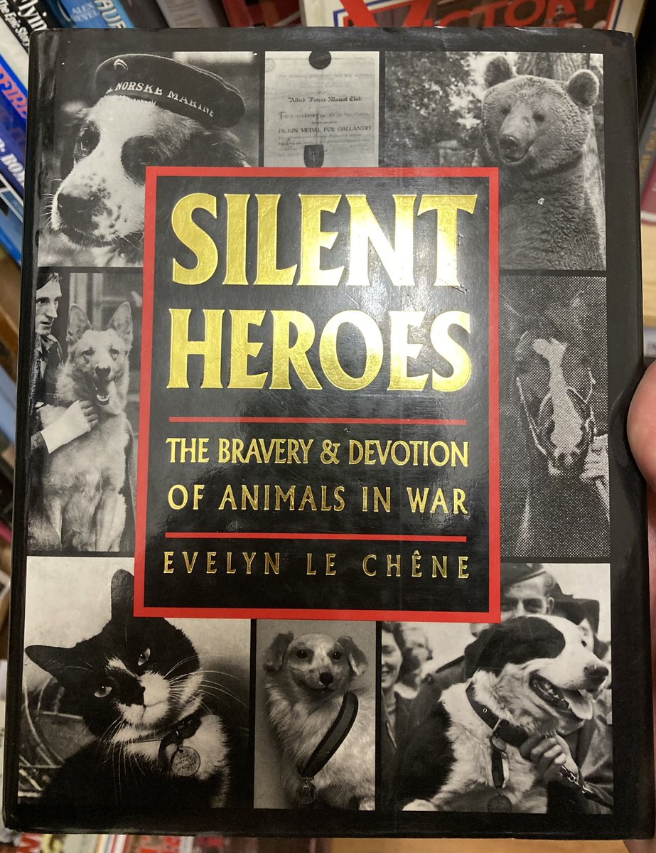 Duncan Brownnutt tweet media