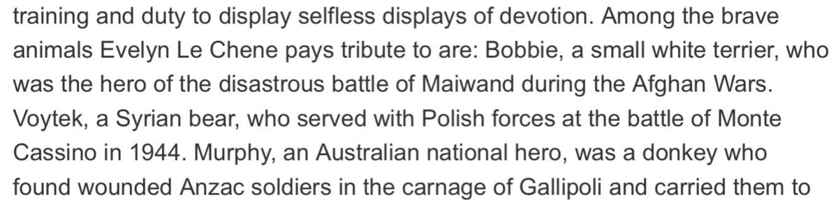 Duncan Brownnutt tweet media