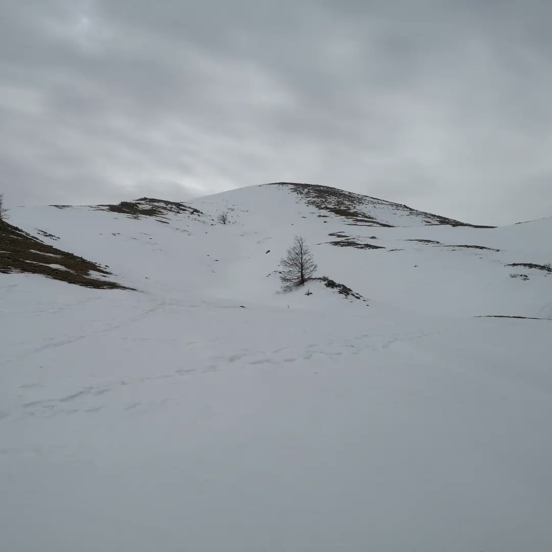 LepiniTrek1536 tweet media