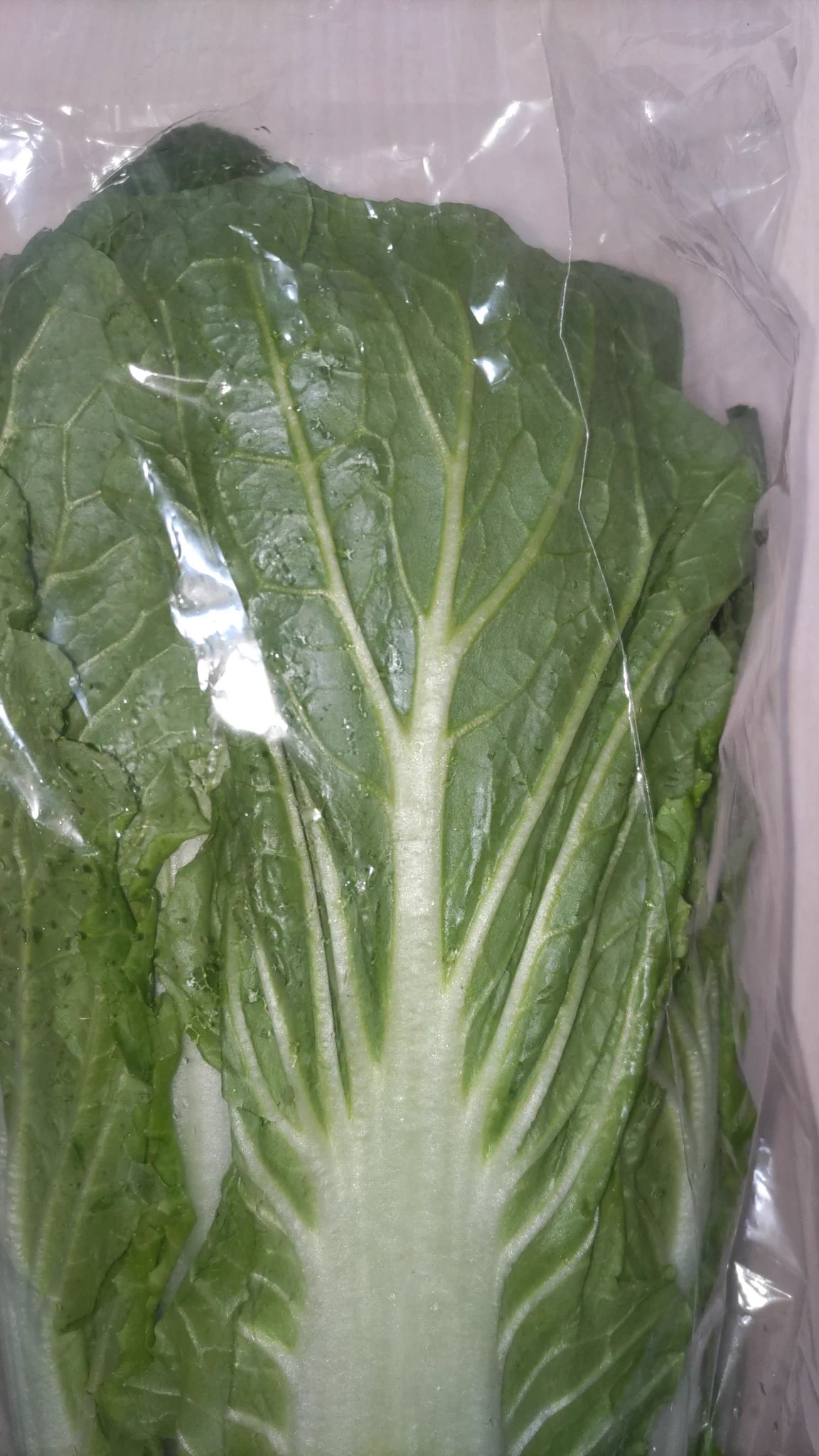@tetsublogorg こんなしまってない小松菜？チンゲン菜？みたいな白菜を買ってくるﾂﾚｸﾝを晒しあげ（復讐）笑 
