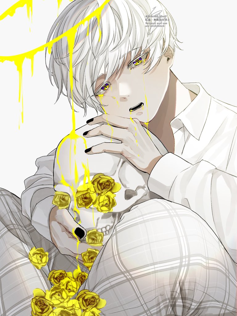 1boy male focus skull white hair flower plaid pants solo  illustration images