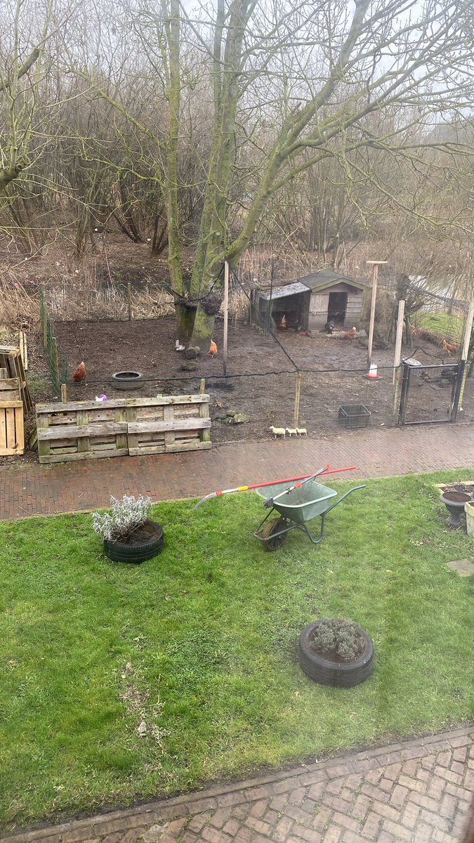 Hoi lieve allemaal! Excuses voor mijn stilte hier, wel kan ik eindelijk delen dat ik vorige week ben verhuisd naar een beschermd wonen locatie. Ik ben rustig aan het settelen en benieuwd wat het mij gaat brengen. Mijn uitzicht vanuit mijn appartement is in iedergeval top 😂