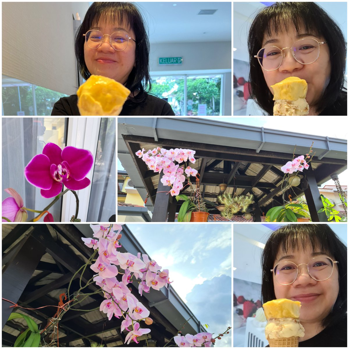 ngbenglean's tweet photo. Finally, it's time to enjoy my favourite ice cream and the orchids, blooming all at the same time. Wonderful and pleasing to the eyes at the moment,  ntl, such will also come to pass. https://t.co/FGsH9AaAgN