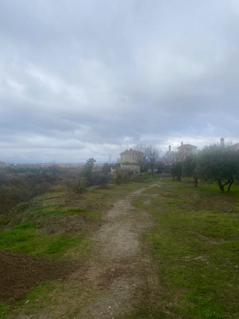 Aurora Suárez tweet media