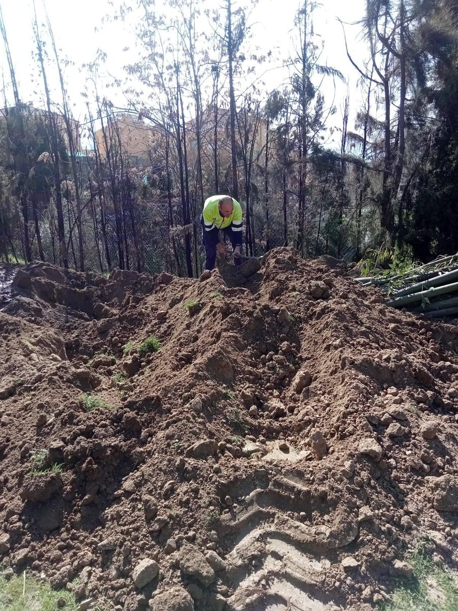 Aurora Suárez tweet media