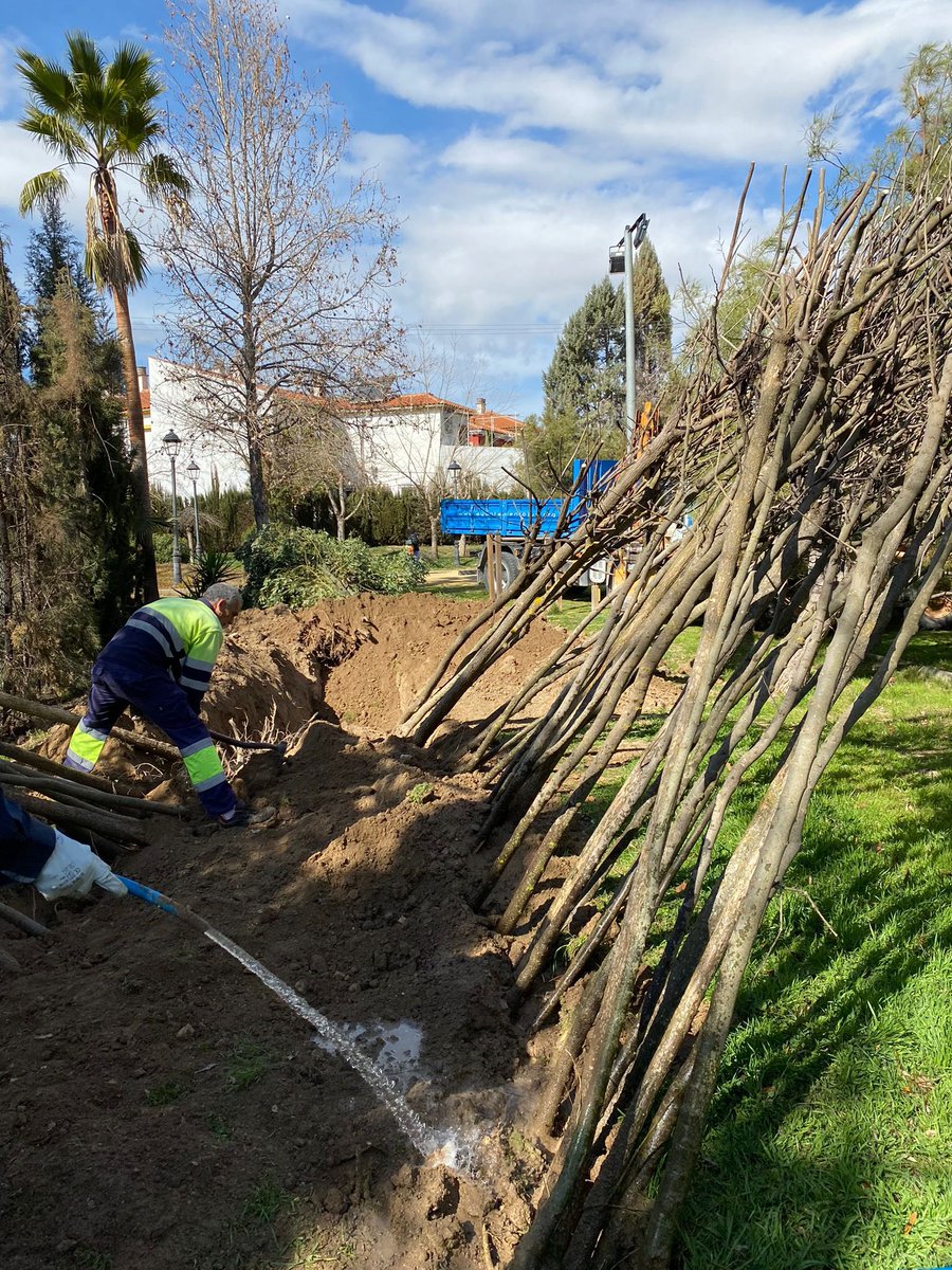 Aurora Suárez tweet media