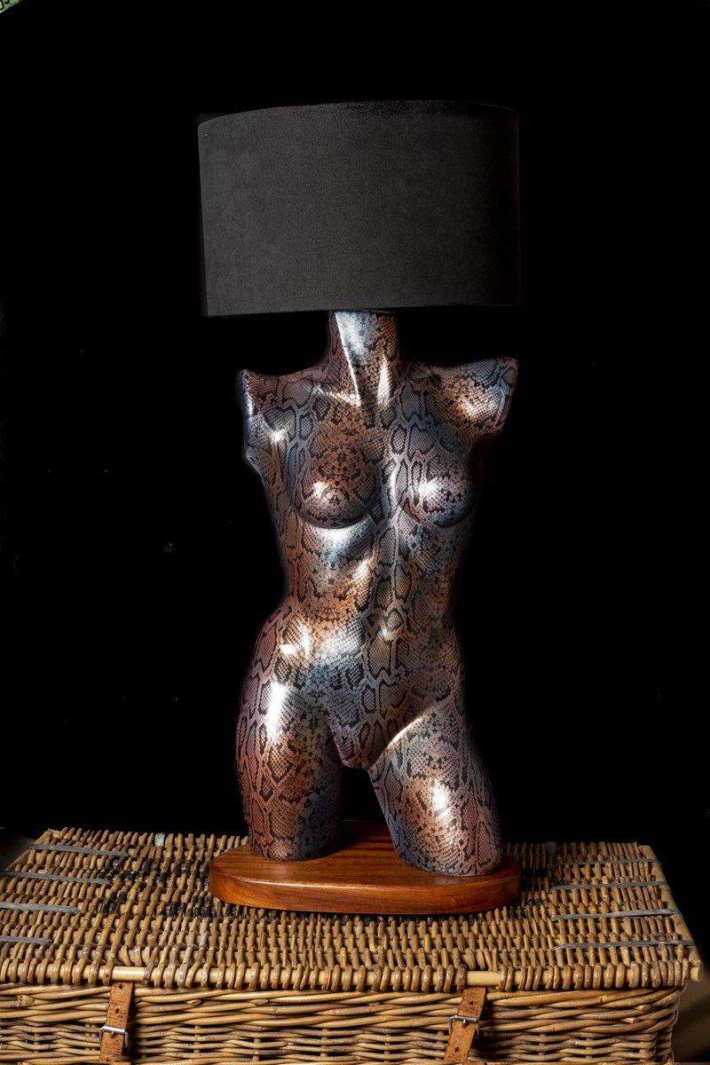 Dolly Fixtures tweet media